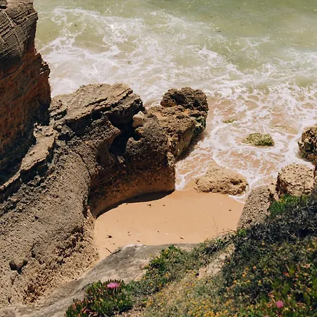 Masana Algarve