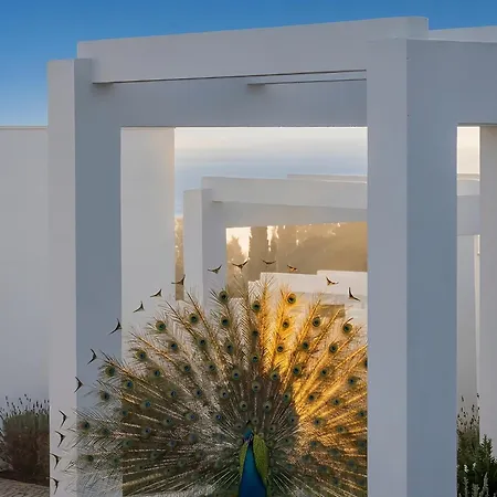 Masana Algarve, Destination By Hyatt 4* Albufeira