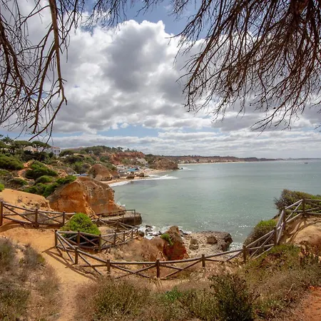 Masana Algarve 阿尔布费拉